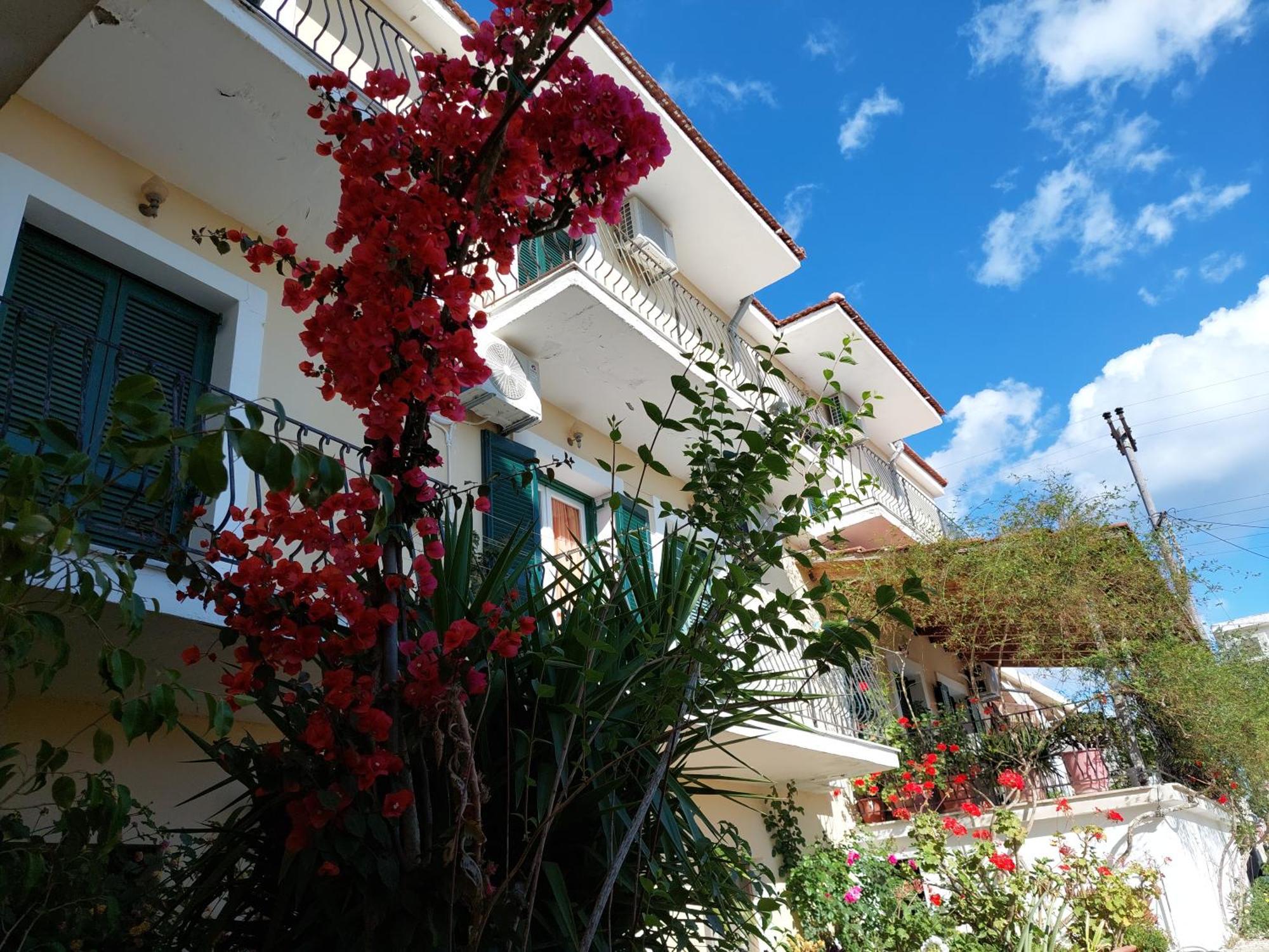 Ammousa Hotel Apartments Lixoúri Eksteriør bilde