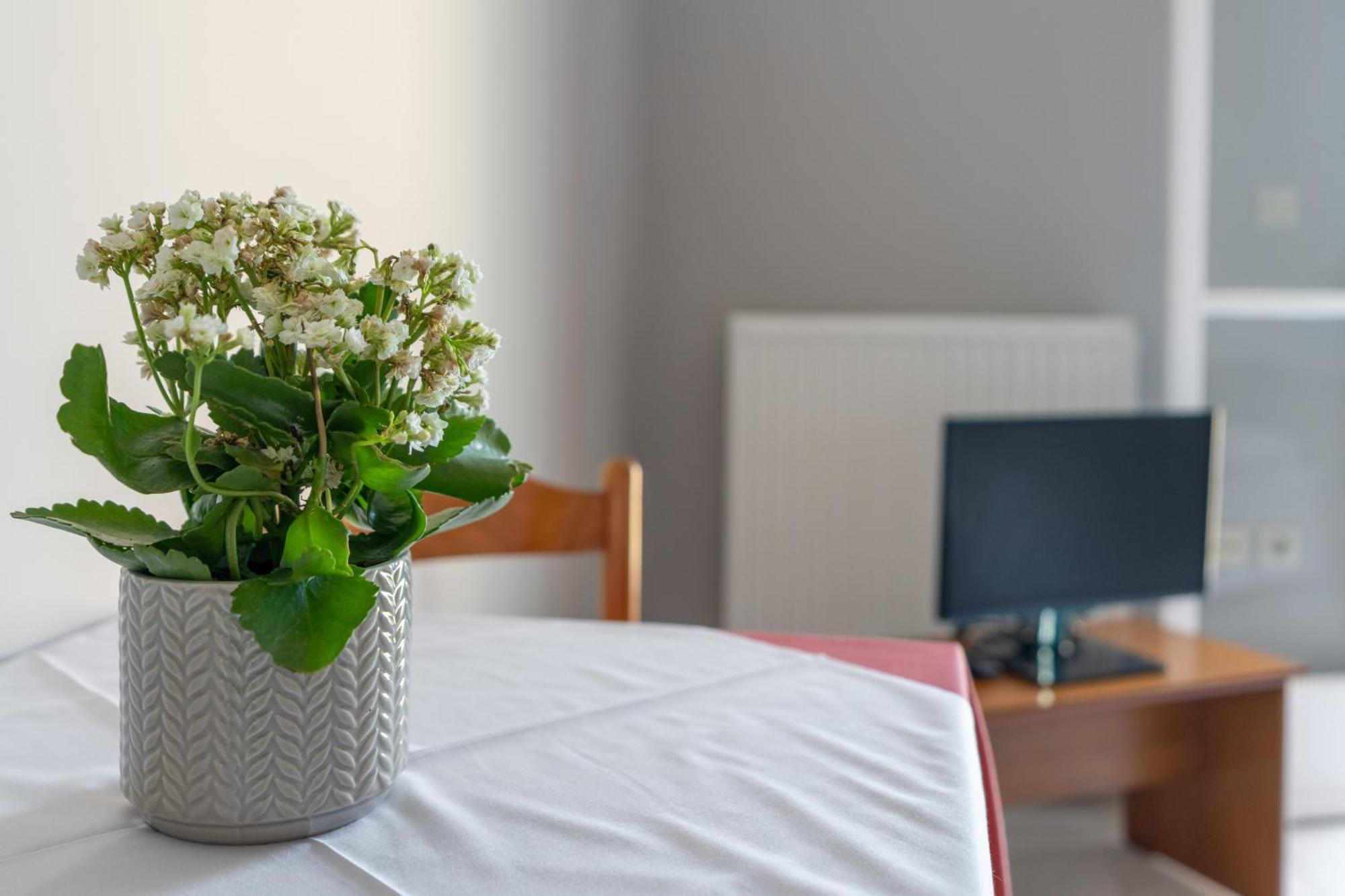Ammousa Hotel Apartments Lixoúri Eksteriør bilde