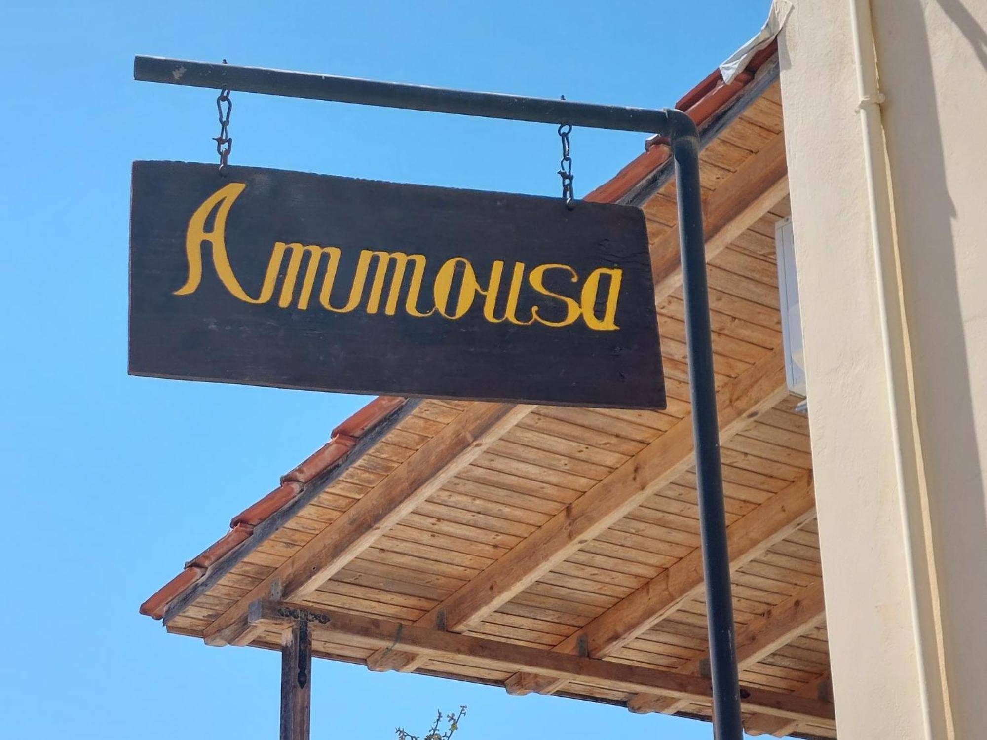 Ammousa Hotel Apartments Lixoúri Eksteriør bilde